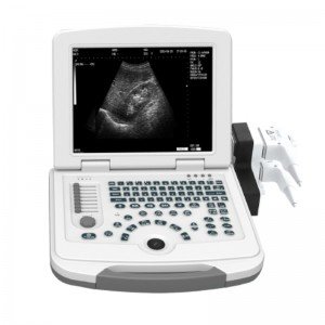 Black And White Ultrasound Diagnostic System