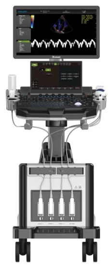 Powerful Echo Ultrasound Professional 4d Ultrasound Machine